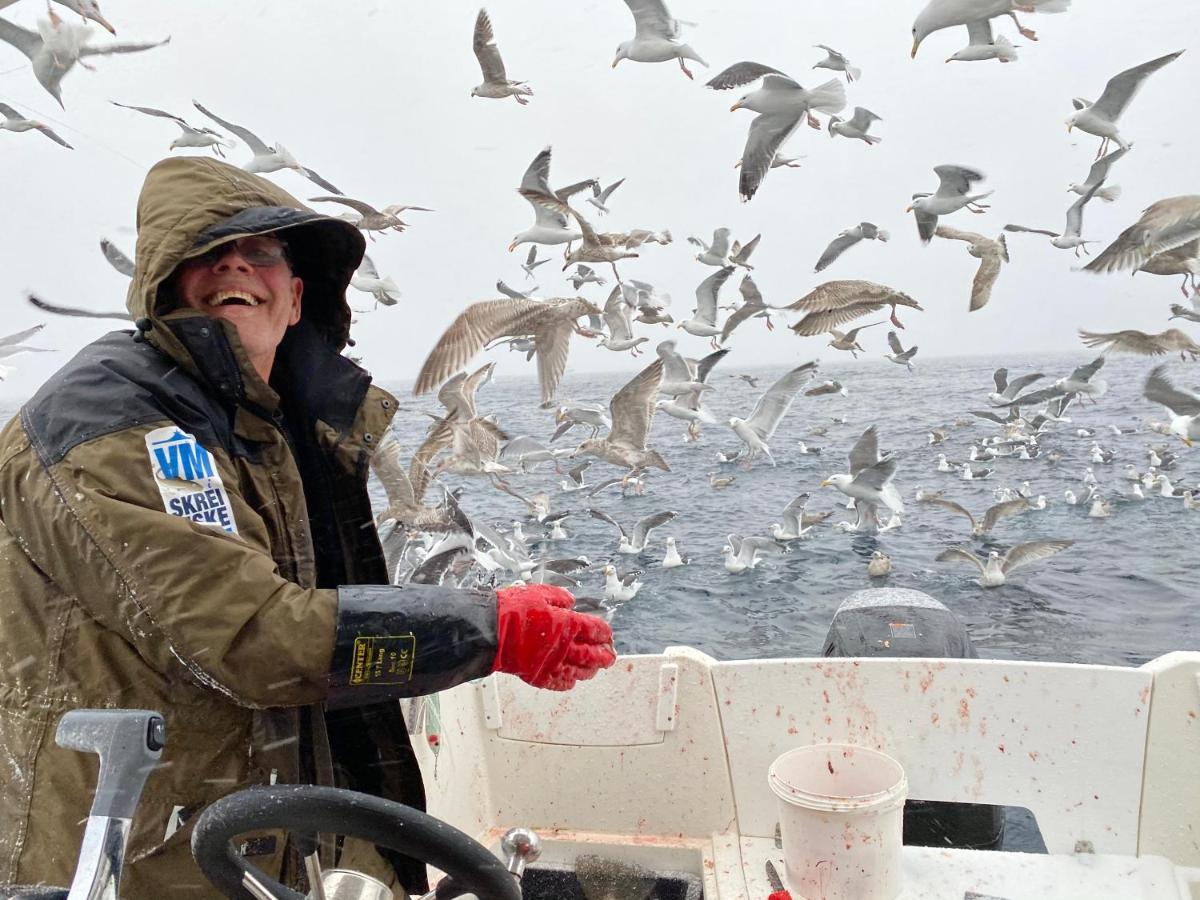 Rorbu I Lofoten Leknes Luaran gambar