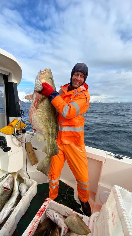 Rorbu I Lofoten Leknes Luaran gambar